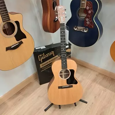 Store Special Product - Gibson G00